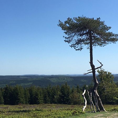 Berg- Und Seeblick Winterberg Exterior photo
